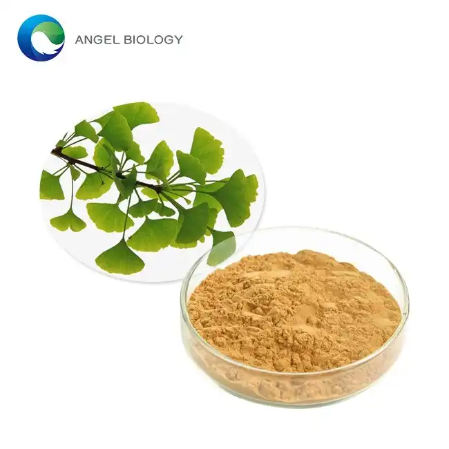 Ginkgo Biloba Leaf Powder